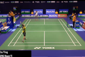 2014年 香港公开赛 R16 女单 戴资颖[中国台北] vs [中国香港]张雁宜