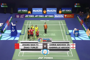 2014年 香港公开赛 SF 混双 张楠&赵芸蕾[中国] vs [英格兰]克里斯·阿德考克&加布里·阿德考克