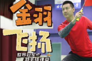 陈金 羽毛球教学[3套][金羽飞扬+儿童教学+加赠教学]