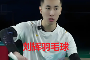 刘辉 羽毛球4套[后场+反手+小飞侠+轻技术]