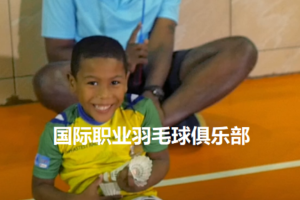 国际职业羽毛球俱乐部系统教学视频