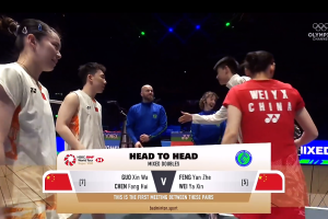 2025年 全英公开赛 F 混双 郭新娃&陈芳卉[中国] vs [中国]冯彦哲&魏雅欣