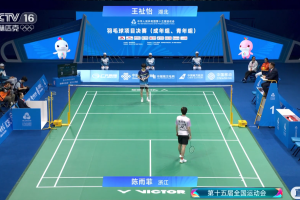 2025年 第十五届全运会 F 女单 王祉怡 vs 陈雨菲